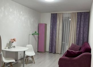 Сдается в аренду квартира студия, 26 м2, Санкт-Петербург, проспект Авиаконструкторов, 69, муниципальный округ Коломяги