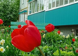 Продается 1-комнатная квартира, 30 м2, Сарапул, Трактовая улица, 6