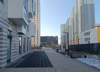 Сдается в аренду 1-ком. квартира, 33 м2, Санкт-Петербург, Дальневосточный проспект, 33к1, ЖК Дальневосточный 15