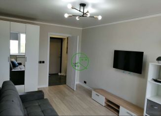 Аренда однокомнатной квартиры, 38 м2, Сызрань, проспект 50 лет Октября, 35