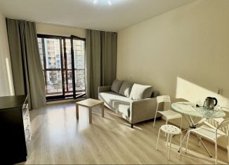 Сдаю квартиру студию, 28.4 м2, Мурино, бульвар Менделеева, 16, ЖК Солнечный