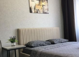 Продажа однокомнатной квартиры, 35 м2, Краснодар, улица им. Героя Сарабеева В.И., 7, ЖК Перспектива