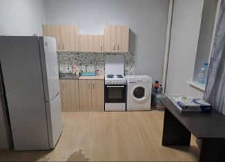 Продам квартиру студию, 25.7 м2, Санкт-Петербург, Парашютная улица, 58, муниципальный округ Коломяги