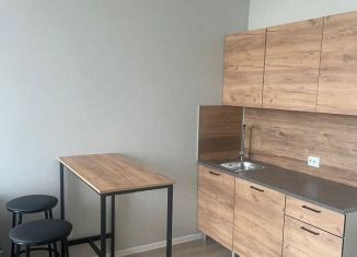 Сдается квартира студия, 27.1 м2, посёлок Шушары, улица Нины Петровой, 10к1