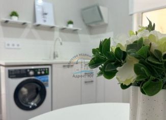 Продается 1-комнатная квартира, 28.5 м2, Анапа, улица Шевченко, 252