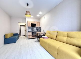 Продаю квартиру студию, 24 м2, Горячий Ключ, улица Солнечный Берег, 10А