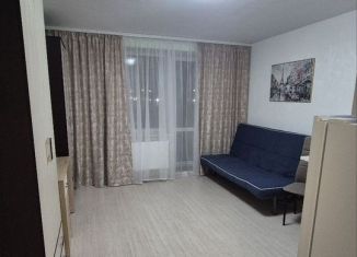 Сдам квартиру студию, 26.3 м2, Мурино, Новая улица