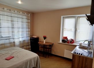 Сдается квартира студия, 17 м2, Котельники, улица Строителей, 1
