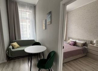 Однокомнатная квартира в аренду, 34 м2, Кудрово, Солнечная улица, 2