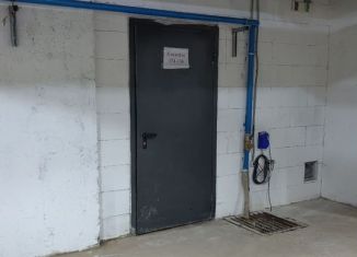 Сдача в аренду гаража, деревня Столбово, проспект Куприна, 30к2