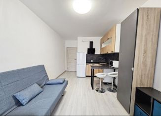 Продам квартиру студию, 24.2 м2, Санкт-Петербург, улица Генерала Кравченко, 3к1, муниципальный округ Сосновая Поляна