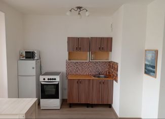 Сдаю квартиру студию, 25 м2, Ленинградская область, Тихая улица, 13к3