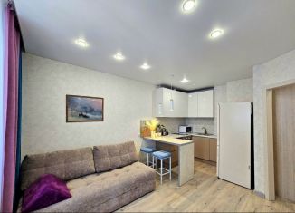 Однокомнатная квартира на продажу, 35 м2, Мурино, Воронцовский бульвар, 16к1, ЖК Краски Лета