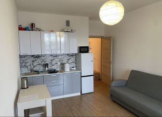 Продажа квартиры студии, 24.1 м2, Кудрово, Венская улица, 4к1