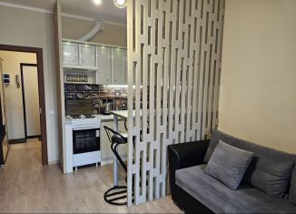 Продам квартиру студию, 21.3 м2, Кудрово, Пражская улица, 11, ЖК Вернисаж