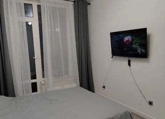Аренда 1-комнатной квартиры, 40.1 м2, Санкт-Петербург, проспект Ветеранов, 212, метро Проспект Ветеранов