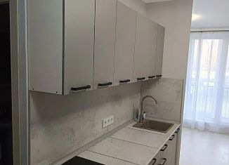 Сдам квартиру студию, 29 м2, Ростов-на-Дону, проспект Солженицына, 15с1, ЖК Пятый Элемент