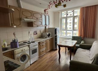 1-комнатная квартира в аренду, 46 м2, Краснодар, улица Базовская Дамба, 4, микрорайон Центральный