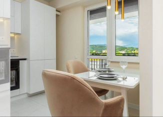 Продаю 1-ком. квартиру, 37 м2, село Орёл-Изумруд, Петрозаводская улица, 26/5