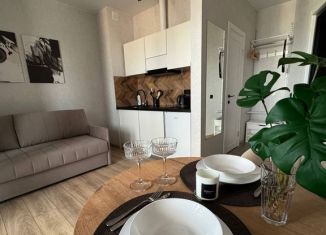 Продается квартира студия, 27 м2, Ростов-на-Дону, ЖК Пятый Элемент, улица Ерёменко, 110/2с2