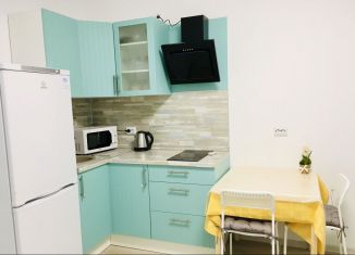 Сдаю квартиру студию, 23 м2, Санкт-Петербург, Парашютная улица, 42к2, ЖК Граффити