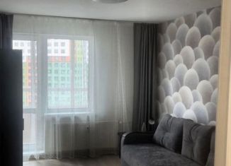 Сдается квартира студия, 27 м2, посёлок Парголово, улица Михаила Дудина, 12