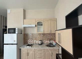 Продается квартира студия, 19 м2, Новосибирск, переулок Твардовского, 22к2