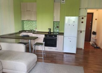 Сдам квартиру студию, 34 м2, Новосибирск, улица Татьяны Снежиной, 31, Октябрьский район