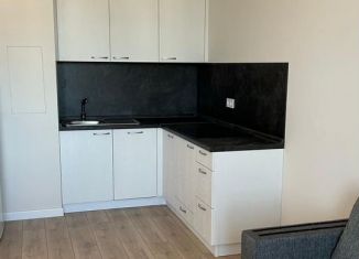 Сдаю в аренду 1-ком. квартиру, 38 м2, Санкт-Петербург, проспект Энергетиков, 2к1, Красногвардейский район