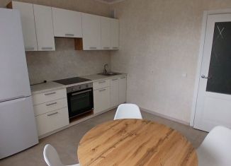 Сдача в аренду однокомнатной квартиры, 47 м2, Старый Оскол