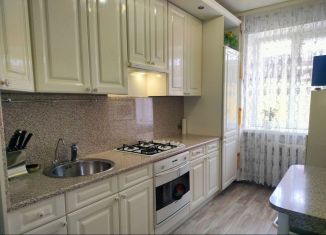 Двухкомнатная квартира в аренду, 67 м2, Нижний Новгород, Грузовая улица, 1, метро Горьковская