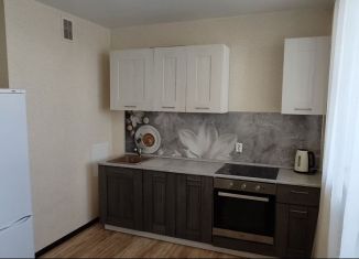 Сдается 1-ком. квартира, 43 м2, Ростов-на-Дону, улица Тимофеева, 11, ЖК Платовский