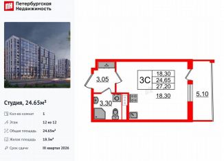 Квартира на продажу студия, 24.7 м2, Санкт-Петербург, муниципальный округ Коломяги