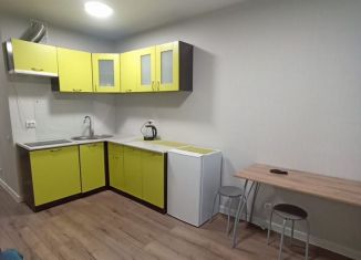 Сдам квартиру студию, 26 м2, Екатеринбург, улица Новостроя, 9, метро Ботаническая