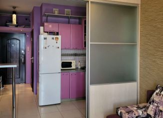 Продаю квартиру студию, 25 м2, Санкт-Петербург, Бухарестская улица, 96, Фрунзенский район