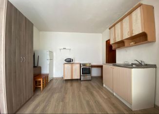 Продам 1-комнатную квартиру, 30.2 м2, Новосибирск, улица Ватутина, 18, Ленинский район