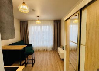 Сдам квартиру студию, 20 м2, Екатеринбург, улица Гаршина, 3, Чкаловский район