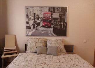 Сдается 1-ком. квартира, 40 м2, Санкт-Петербург, улица Бабушкина, 84к1, метро Обухово