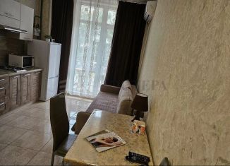 Продам квартиру студию, 25 м2, Геленджик, Туристическая улица, 3Д, ЖК Дом у моря