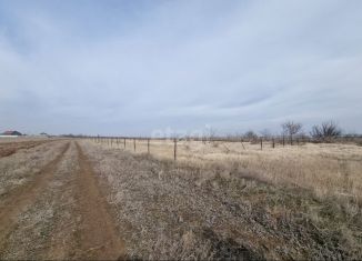 Продам участок, 5.5 сот., Дубовка