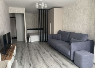 Сдается в аренду 1-ком. квартира, 42 м2, Нижний Новгород, улица Родионова, 193к3