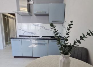 Сдам в аренду квартиру студию, 22.5 м2, Краснодар, улица Западный Обход, 39/2к2