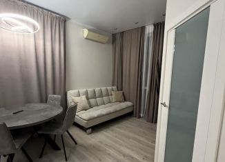 Сдается 1-комнатная квартира, 44 м2, Сочи, переулок Рахманинова, 35Д, микрорайон Новый Сочи