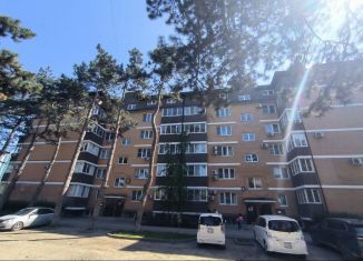 Продаю квартиру студию, 29 м2, посёлок Берёзовый, Декоративная улица, 1/5к1