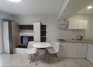 Квартира на продажу студия, 26 м2, Сочи, Крымская улица, 65Б, микрорайон Мамайка