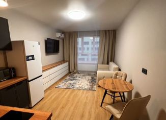 1-комнатная квартира в аренду, 24 м2, деревня Глухово, Романовская улица, 23, ЖК Новая Рига