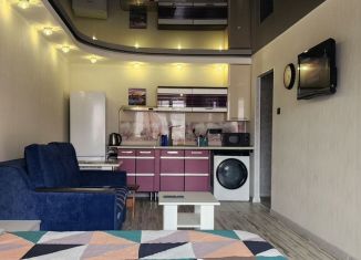 2-комнатная квартира в аренду, 40 м2, Томск, Учебная улица, 8