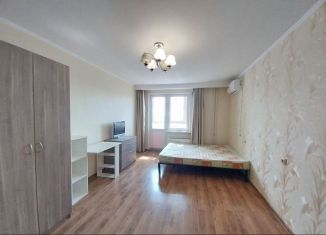 Сдается в аренду 1-комнатная квартира, 48 м2, Краснодарский край, Краевая улица, 1/1