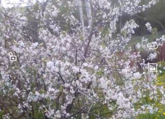 Продам дачу, 15 м2, Чувашия, Луговая улица