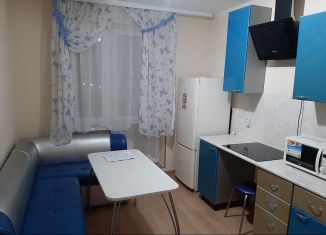 Однокомнатная квартира в аренду, 42 м2, Чебоксары, Радужная улица, 14